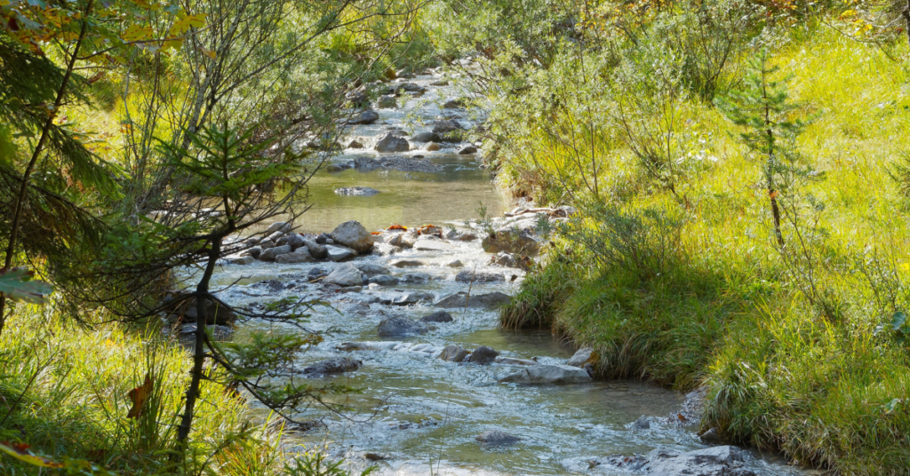 Rowlett Creek Preserve