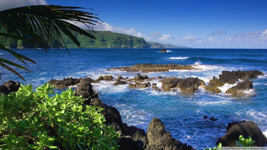 Maui beach view