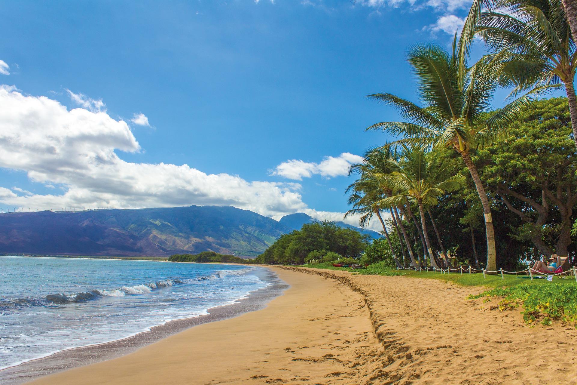 beach view hawaii