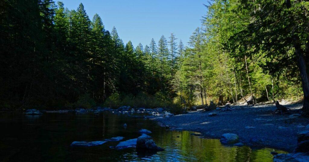 Silver Creek Preserve